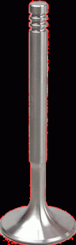 Auslass-Ventil 3.0 24V, Ø 31.5mm Rennsport Gr. H